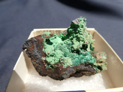 Rosasite on Austinite, Mapimi, Mexico - Old Stock, Specimen Sample, Labeled Box