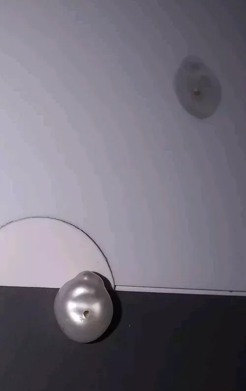 Picture 4 of 11