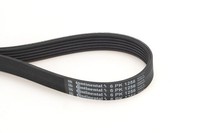 Continental Ctam Keilrippenriemen 6PK1256 FüR Ford Hyundai Volvo KIA Ferrari