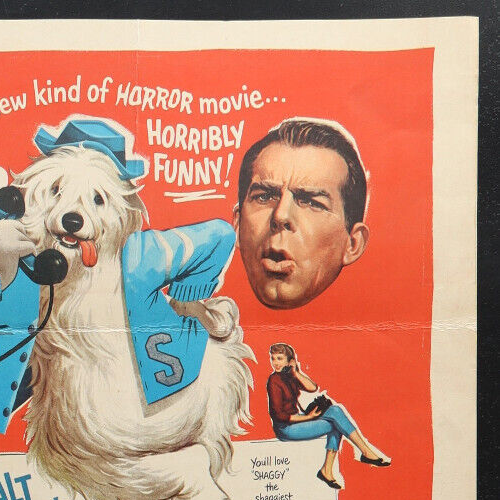 SHAGGY DOG POSTER WINDOW CARD 1959 DISNEY FRED MACMURRAY - Picture 2 of 6