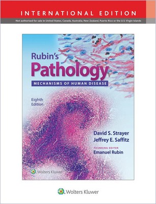 Rubin's Pathology | Buch | Englisch (2019) | Mechanisms of Human Disease