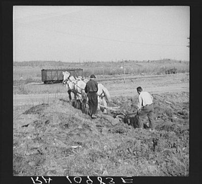 #ad TiplerWisconsinWIFlorence CountyFarm Security Administration1937FSA6 1 $12.99