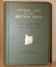 Animal Life of the British Isles - A Complete Guide by Edward Step, 1945