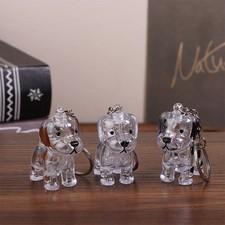 Transparent Dog Hair Storage Pendant Keychain Bag Pendant Couple Car Key Chains