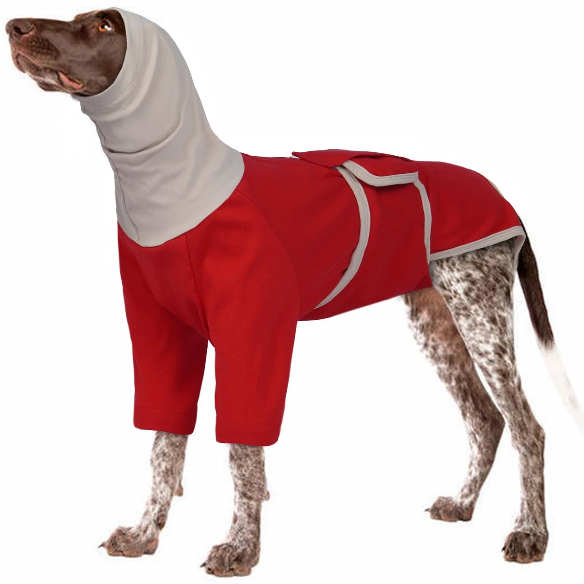 Recovery Suit for Large Dogs After Surgery – Red 2XL