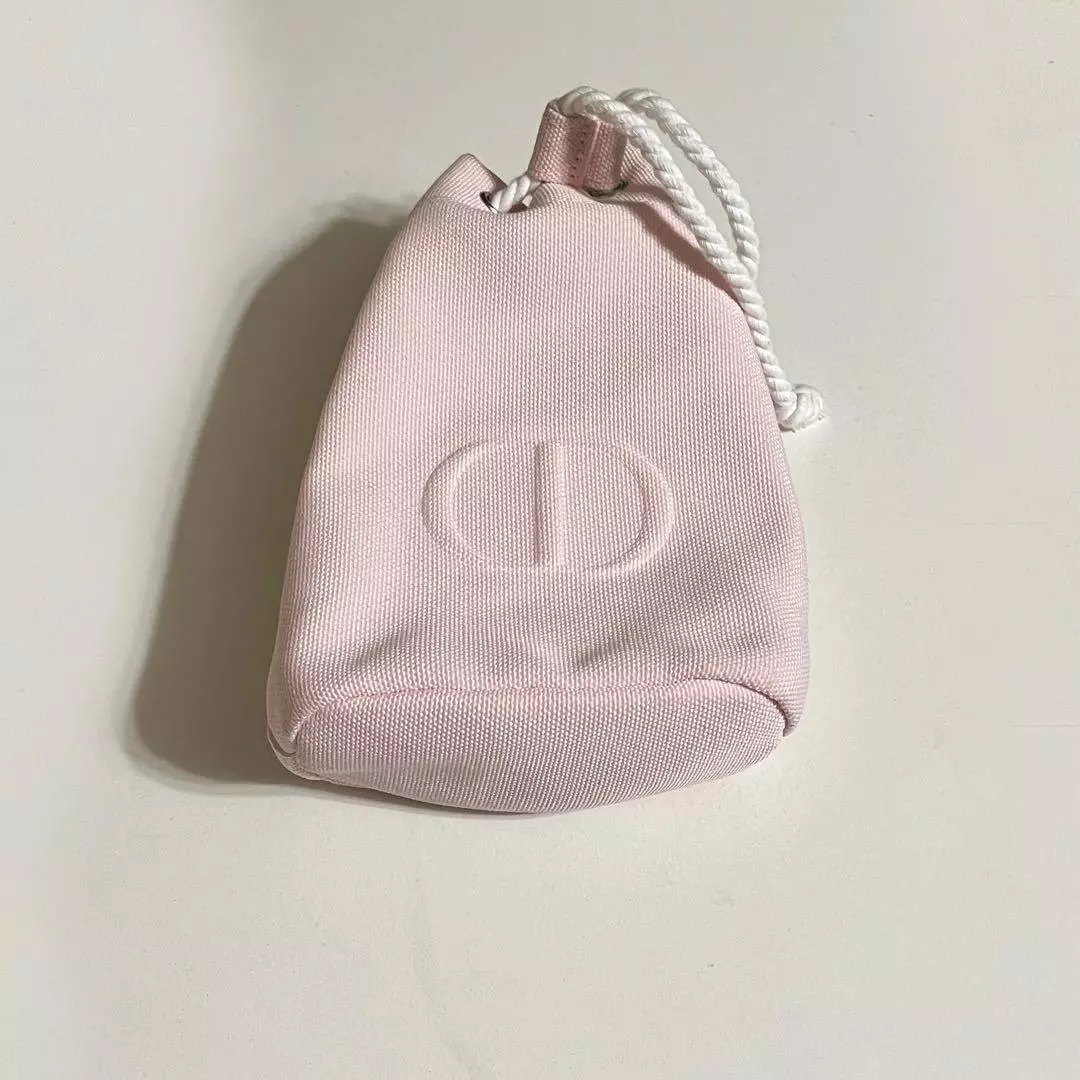 Pochette Dior