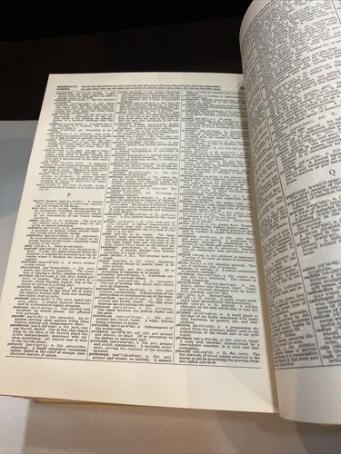 Vintage 1956 WEBSTER'S New Twentieth Century UNABRIDGED DICTIONARY Noah Webster - Imagen 12 de 12