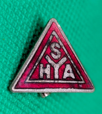 Vtg Scottish Youth Hostel Association Pin SYHA Wo Lewis Lapel Badge Brooch P1061