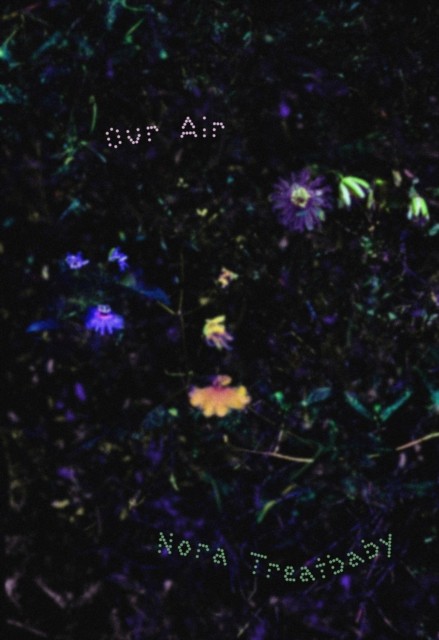 Our Air by Nora Treatbaby (Paperback Book)