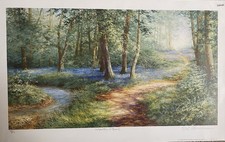 Woodland Walk By David Crane