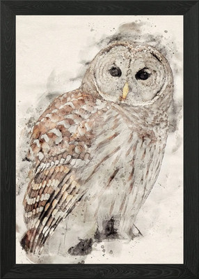 Hoot Eule gerahmtes Wandbild Poster Leinwanddruck Bild