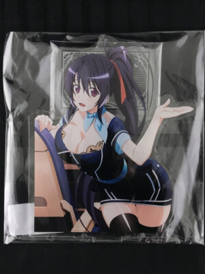 High School DxD Hero Akeno Himejima Acrylic Figure Stand Gemakuji 2 New