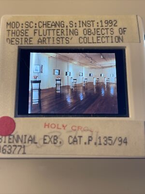 Shu Lea Cheang  Those Fluttering Objects Of Desire  Video Art 35mm Slide