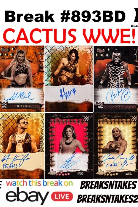 Break #893BD: 2025 Topps Cactus Jack Hobby CASE (12 BOX) Wrestler Break