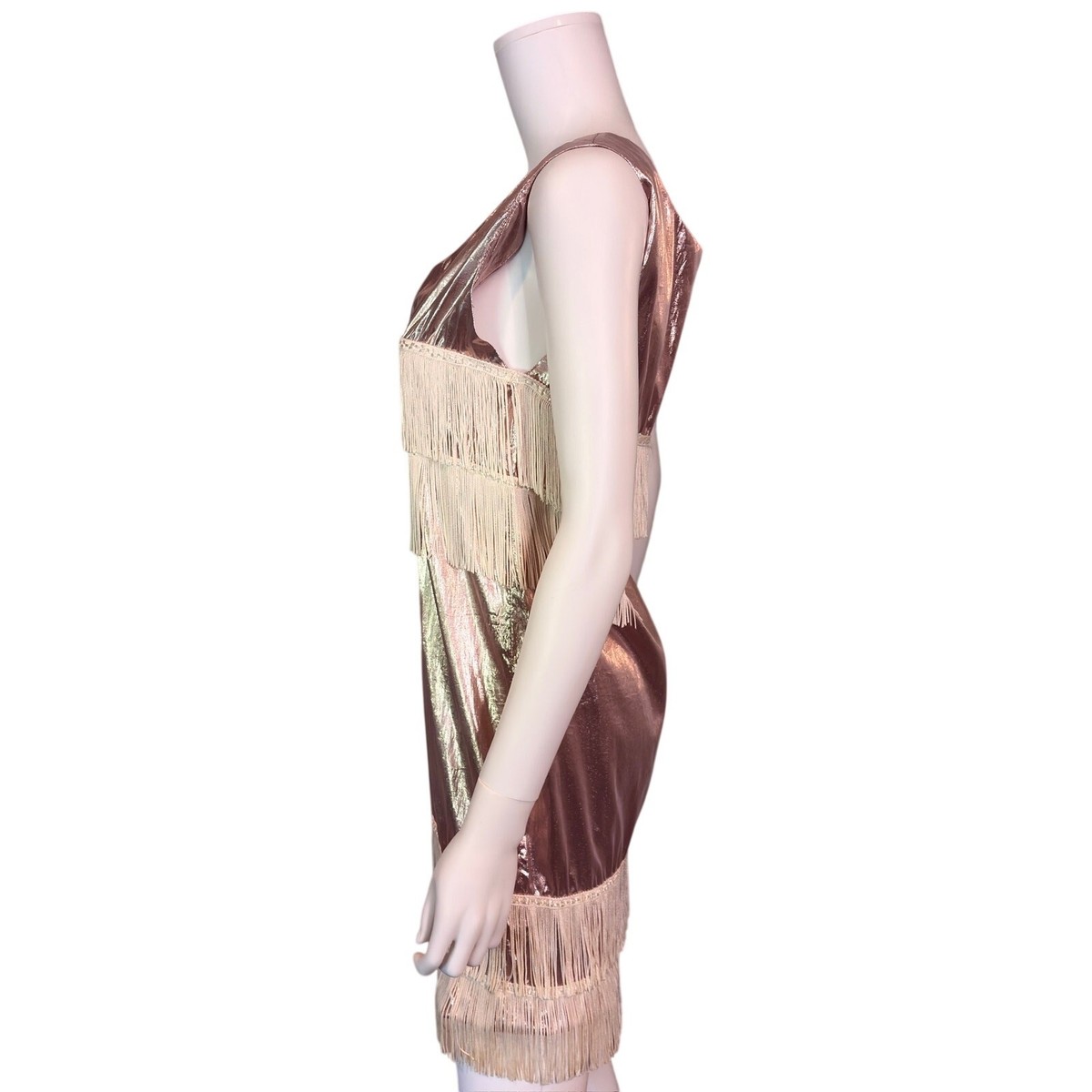 Metallic Fringe Mini Dress XS/S 60s Mod Space Cowgirl Western Shimmer Party Glam View 5