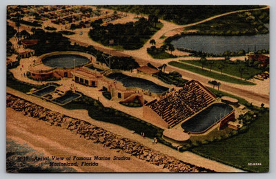 Postcard | Marineland, Florida Aerial View Of Famouse Marine Studios