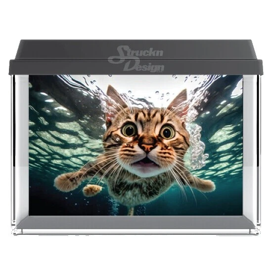 Fondo Marrón Decoraciones para acuarios