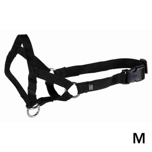 snout harness