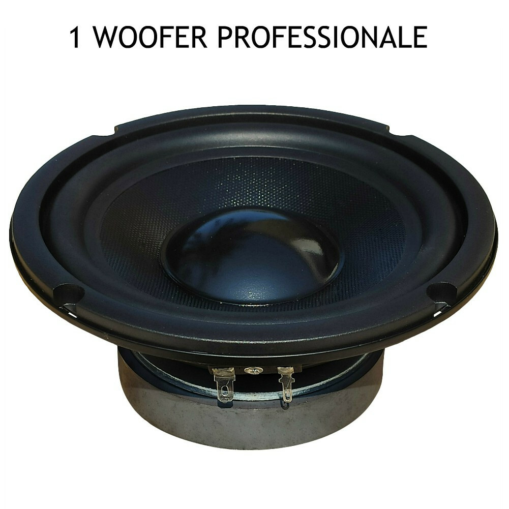 Rinnova il Tuo Suono: Woofer Master Audio MA16W/8 6,5 Pollici 150W