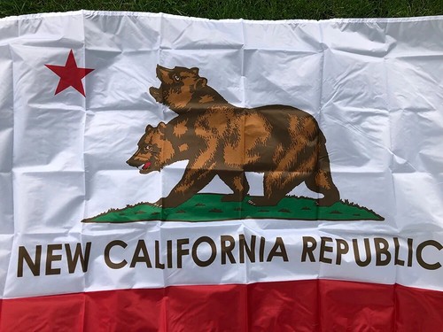 Bandera Fallout Nueva República de California 90x150 cm Poliéster VENDEDOR DE EE. UU. rara - Imagen 3 de 6
