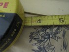 Foto 11 di 11
