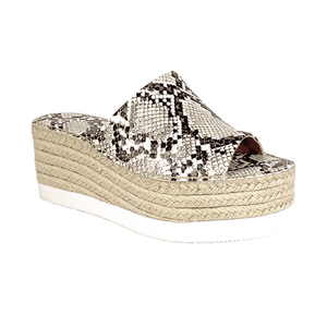 charles david slides