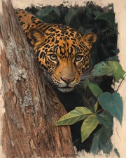 8x10 Wildlife Art Print - 373089338