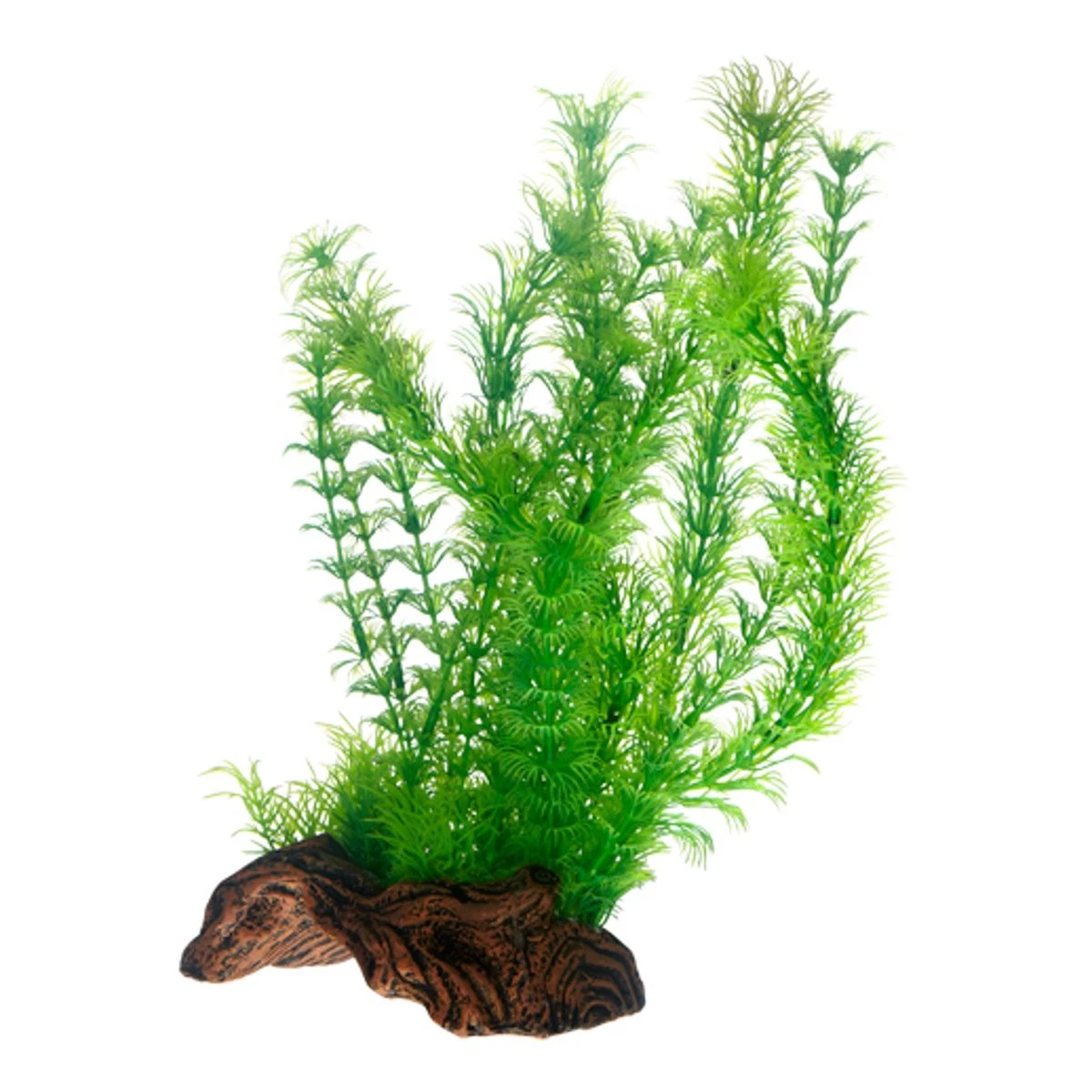 Natrliche/Echte Knstliche Pflanzen fr Aquarien online kaufen | eBay.de