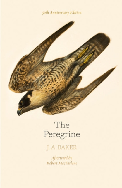 The Peregrine: 50th Anniversary Edition 9780008216214 - Free Tracked Delivery