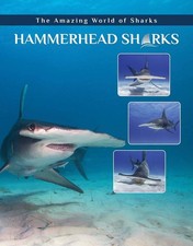 Hammerhead Sharks (The Amazing World of Sharks)