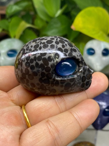 1pc Natural Unknown Quartz Carved Alien Skull Crystal Reiki Healing Gem Gift - Picture 4 of 6