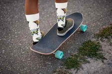 Butterfly Unisex M/L Casual Crew Socks Real Sic Premium Pollinator Fashion New