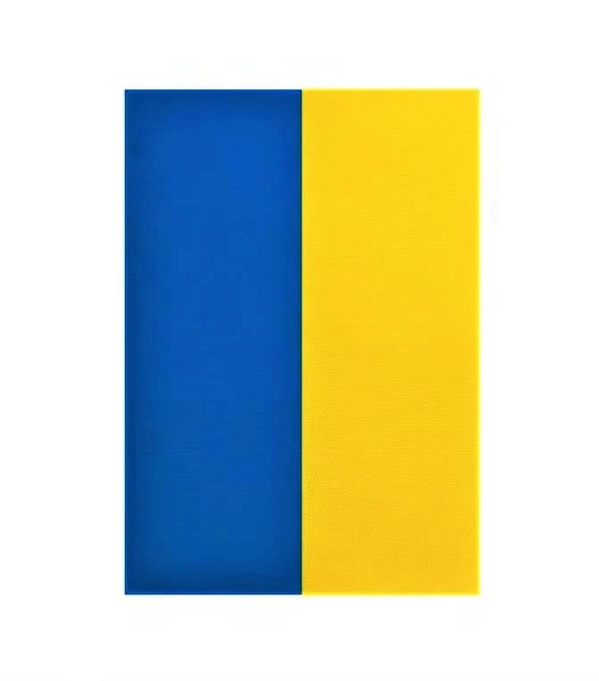 Bandera de Ucrania Kind Girl, 12 x 18 pulgadas, azul resistente a la decoloración, amarillo Foto 2 de 4