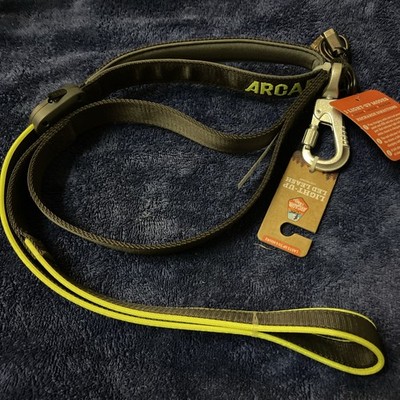 Arcadia Trail LED Light Up Dog Leash