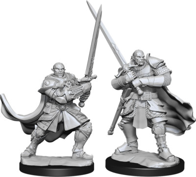 HALF-ORC MALE PALADIN D&D Nolzur's Marvelous Miniatures Wizkids WZK90307