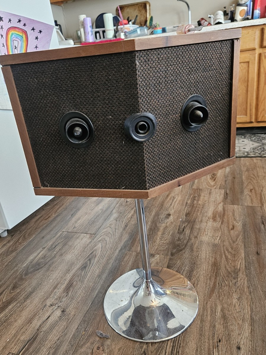 Bose 901 Series IV Speakers with Pedestal Stands Acoustic Matrix
