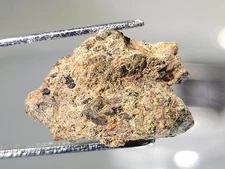 NWA 14429, Diogenite,  1.62g, HED group meteorite fragment, large OP crystals