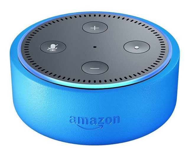 ebay echo dot