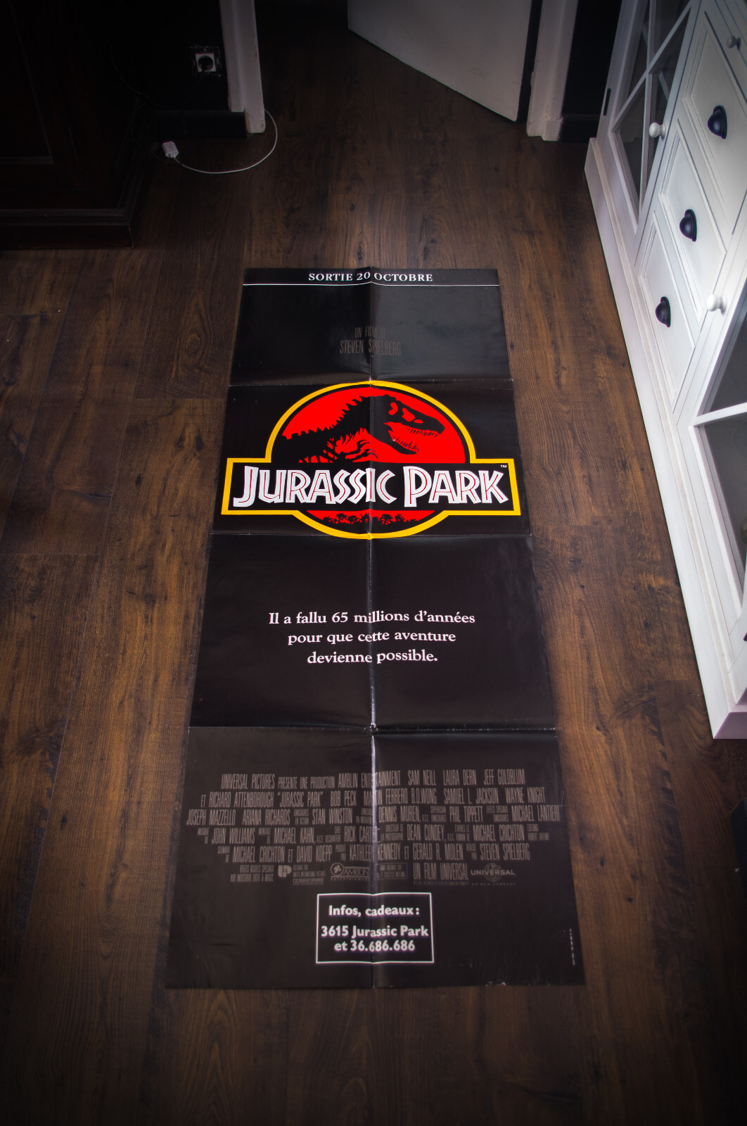 PARQUE JURÁSICO Steven Spielberg Puerta Francesa Vintage Póster Original 1993