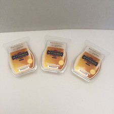 Scentsy Harry Potter Butterbeer Lot of 3 Wax ...