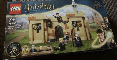 LEGO Harry Potter 76395 Hogwarts Erste Flugstunde Quidditch Quirrell
