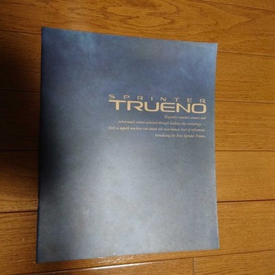 1991 IndiAE1True2catalog C4