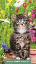 Kittens: 2025-2026 28-Month Inspirational Pocket Planner