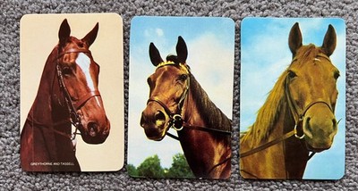 Original swap playing card blank back 70 s horses Greythorne and Tassell