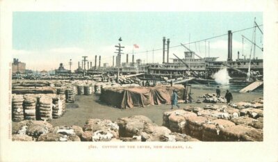 New Orleans Louisiana Cotton Levee Detroit Photographic C-1905 Postcard 21-8740