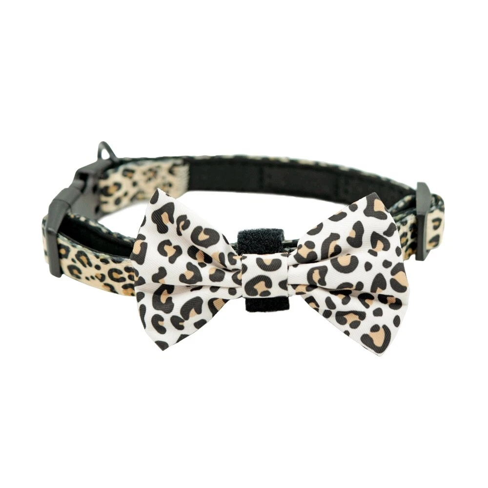 Dog Harness & leash matching set