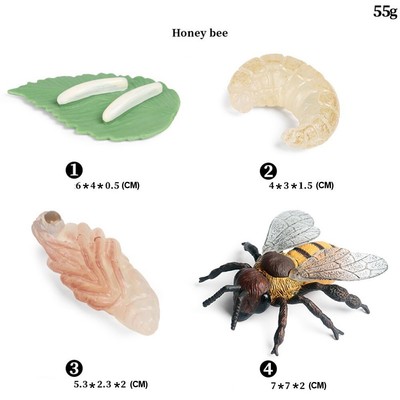 Biene/Wespe Modell Insektenmodelle Kunststoff Material Natürlich Brand New