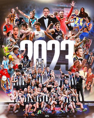 AFL FOOTBALL ALL TEAMS CHAMPION PLAYER POSTER,PIES,CATS, DOGS, EAGLES,BULLDOGS,1