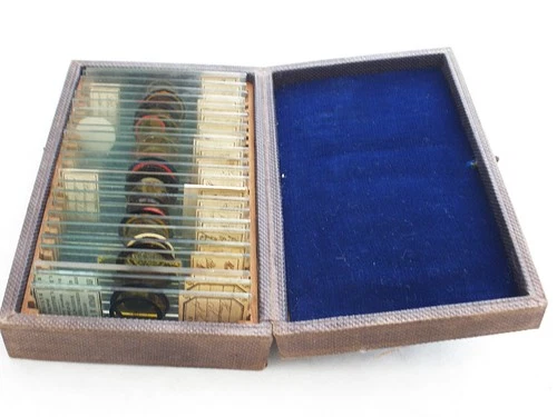 Boxed Set of 24 Antique  Microscope  Slides by Norman