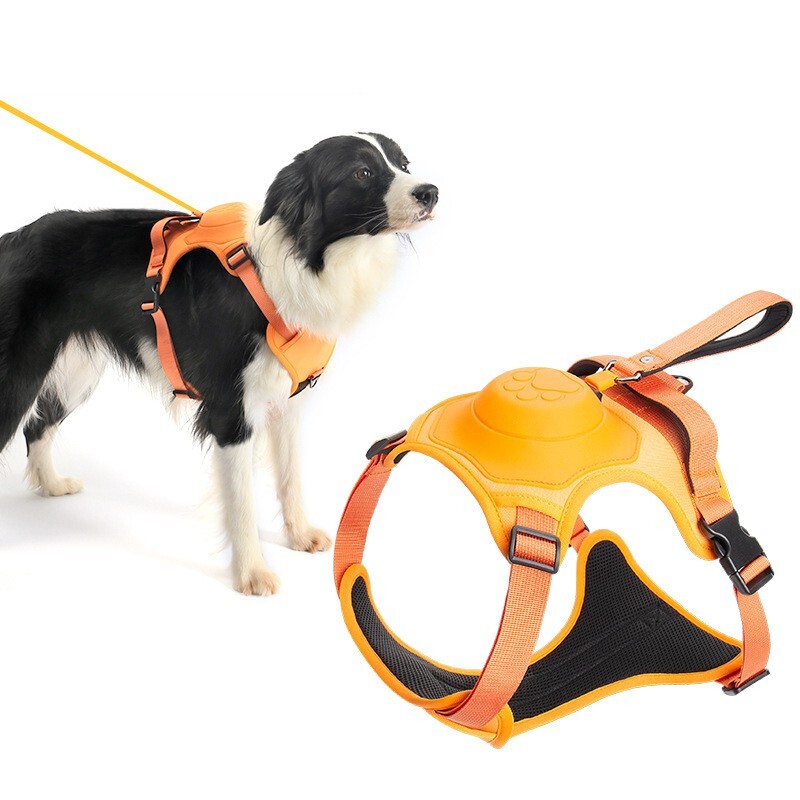 Dog Harness with Leash, Dog Leash with automatic Adjustable and Back Extension